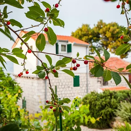 Cozy With Sea View Traù